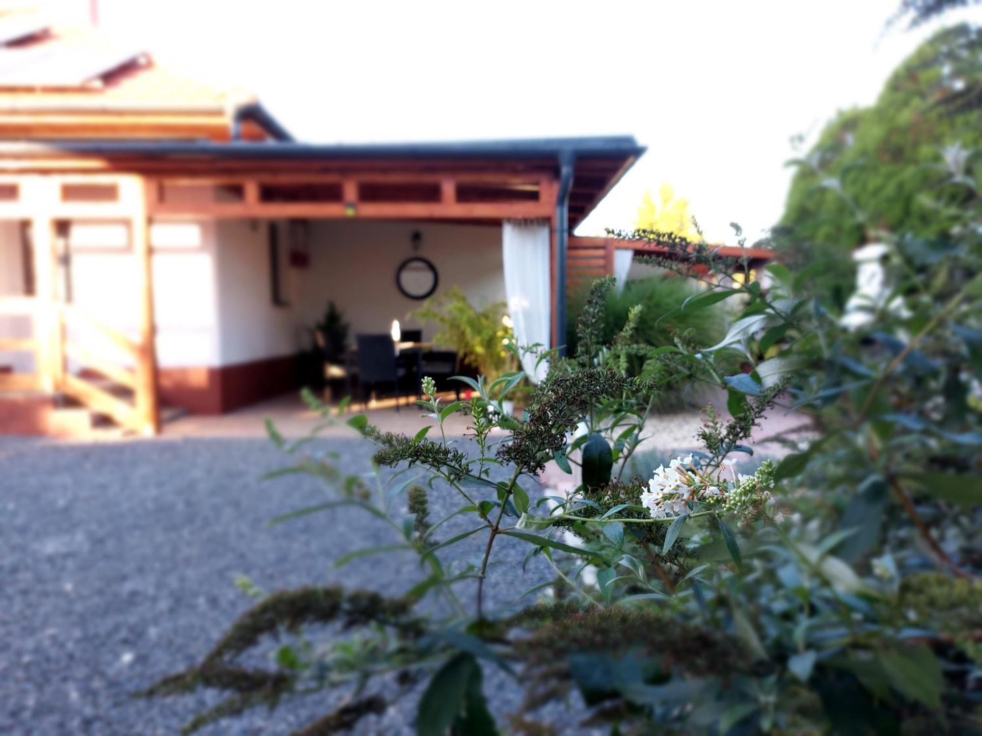 Tulipan Vendeghaz Apartment Sarospatak Exterior photo